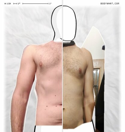 Torso Comparison