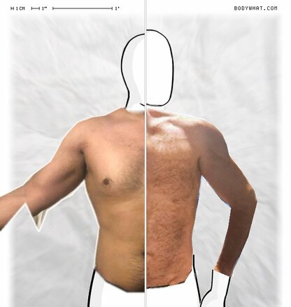 Torso Comparison