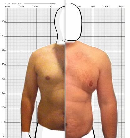 Torso Comparison