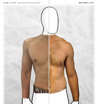 Torso Comparison