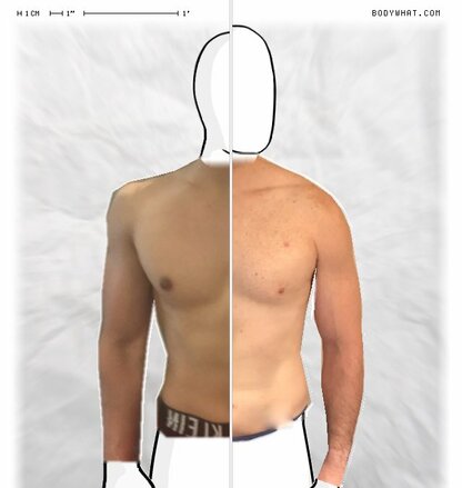 Torso Comparison