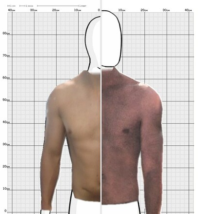 Torso Comparison