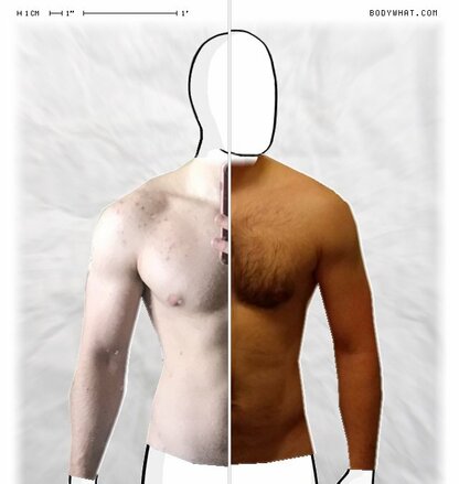 Torso Comparison