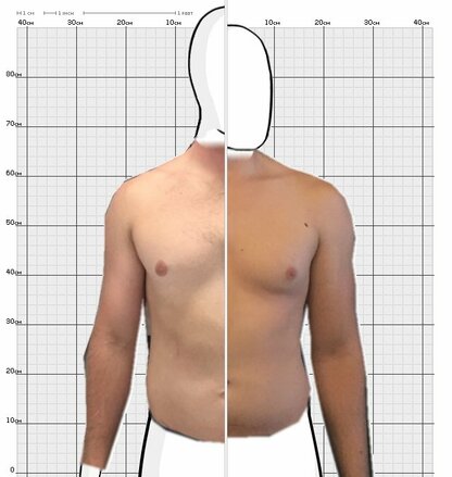 Torso Comparison