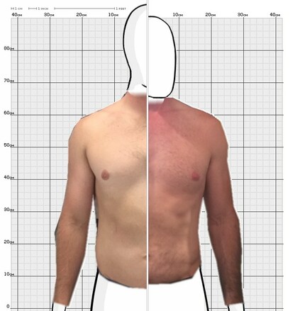 Torso Comparison