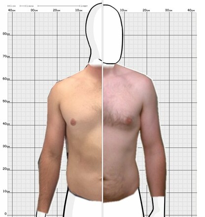 Torso Comparison