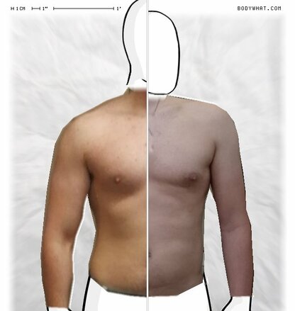 Torso Comparison