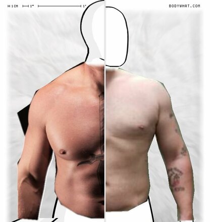 Torso Comparison