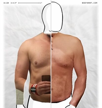 Torso Comparison