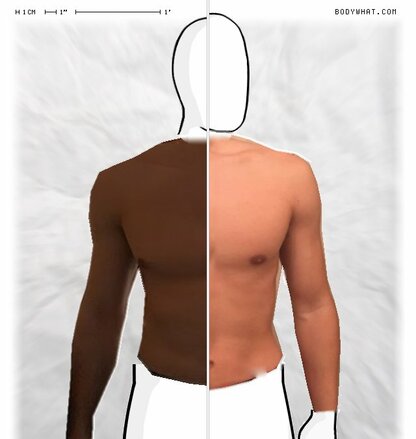 Torso Comparison