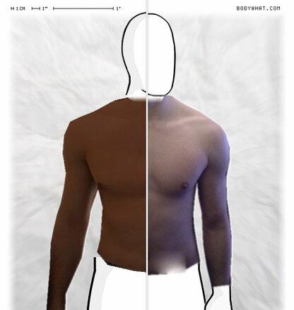 Torso Comparison