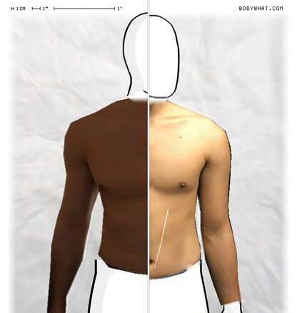 Torso Comparison