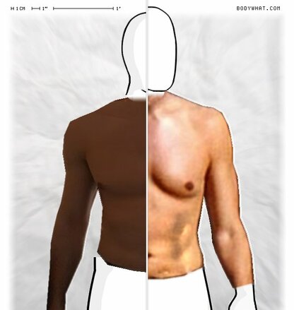 Torso Comparison