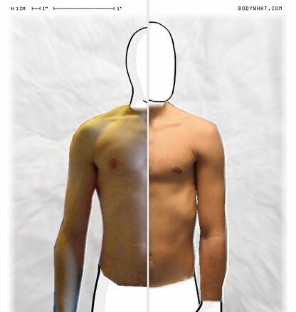 Torso Comparison