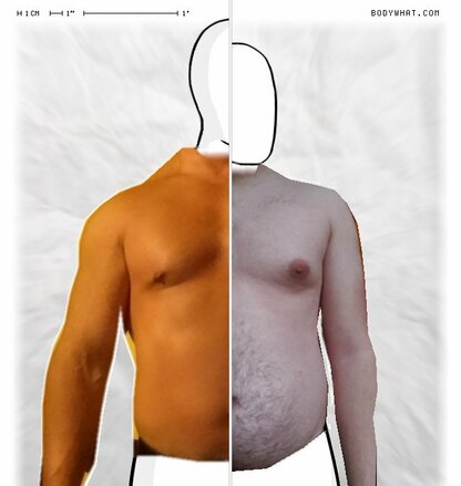 Torso Comparison