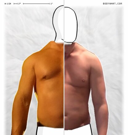 Torso Comparison