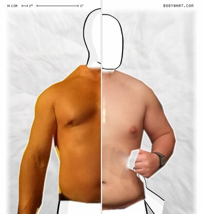 Torso Comparison