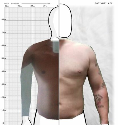 Torso Comparison