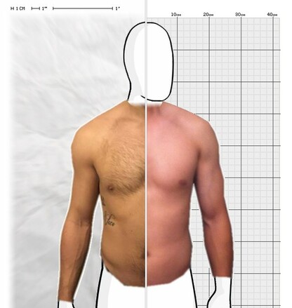 Torso Comparison