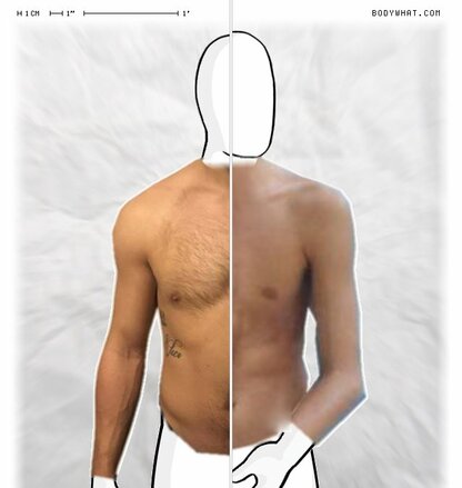 Torso Comparison