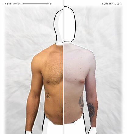 Torso Comparison