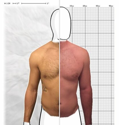 Torso Comparison