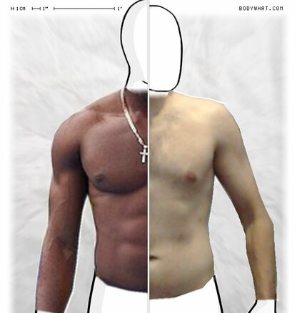 Torso Comparison