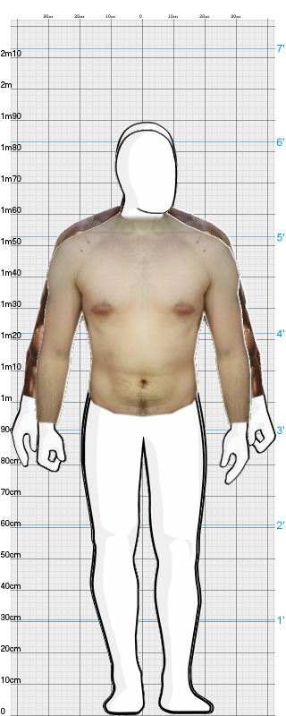 Full Size Comparison