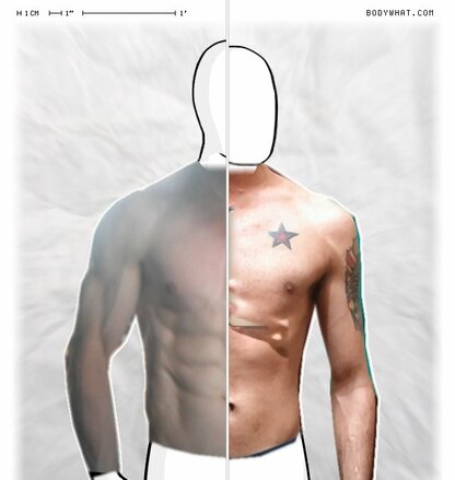 Torso Comparison