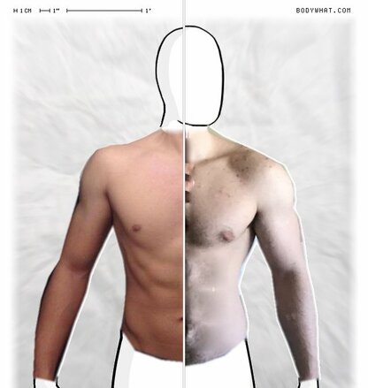 Torso Comparison