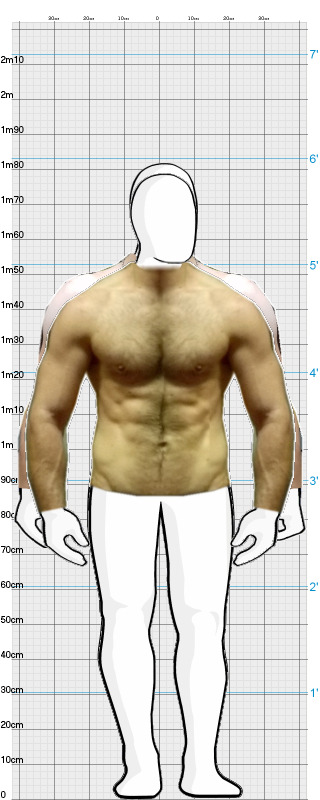 Full Size Comparison