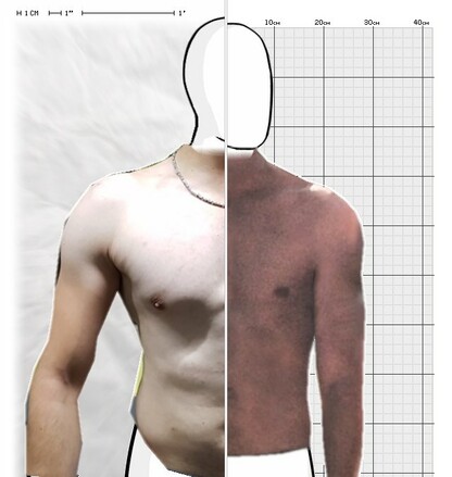 Torso Comparison