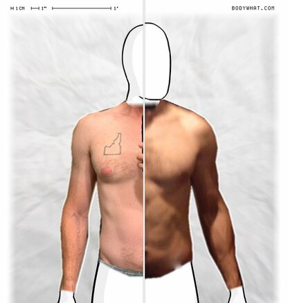 Torso Comparison