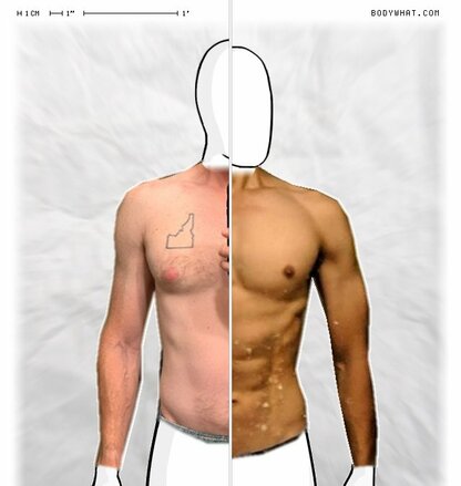 Torso Comparison