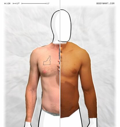 Torso Comparison