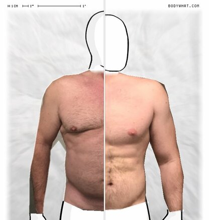 Torso Comparison