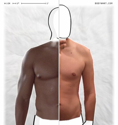 Torso Comparison