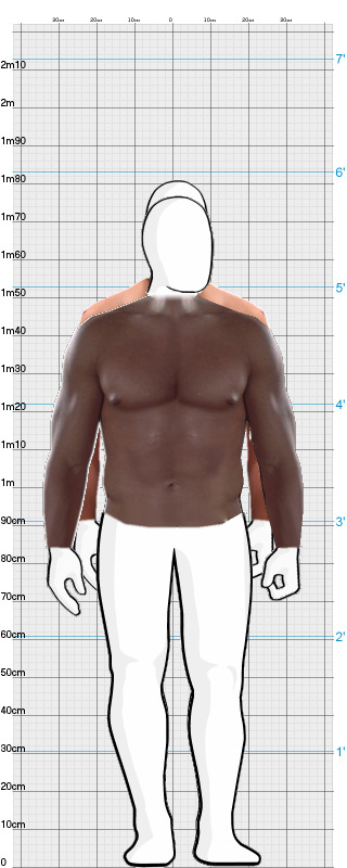 Full Size Comparison