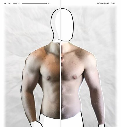 Torso Comparison