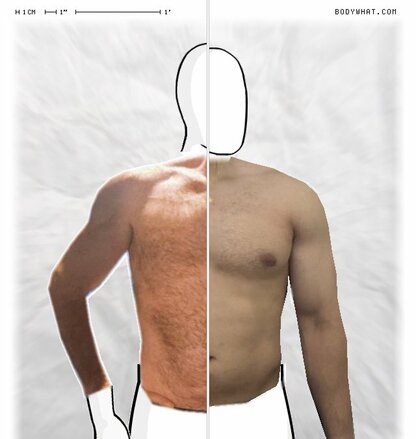 Torso Comparison