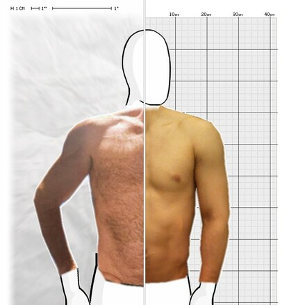 Torso Comparison