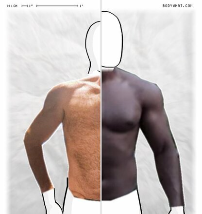 Torso Comparison