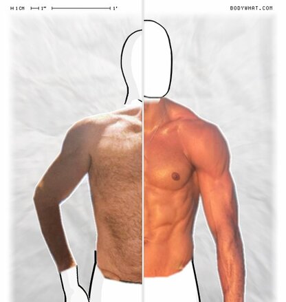 Torso Comparison