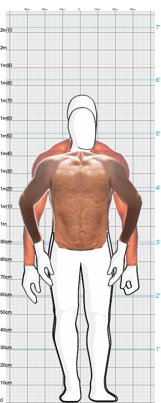 Full Size Comparison