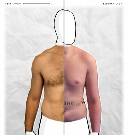 Torso Comparison