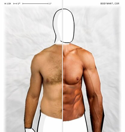 Torso Comparison