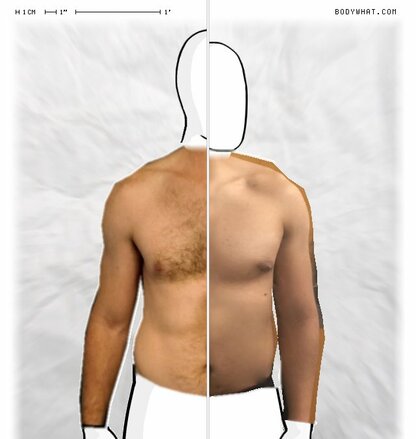 Torso Comparison