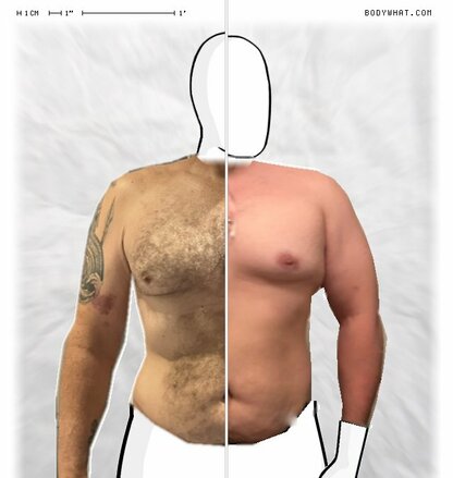 Torso Comparison