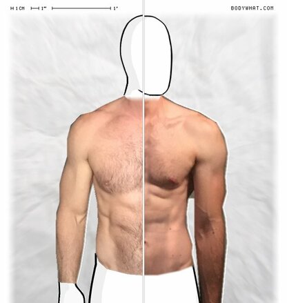 Torso Comparison