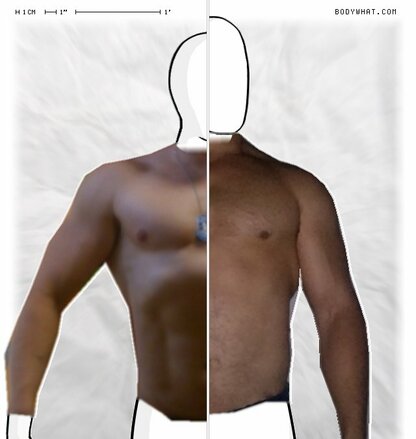 Torso Comparison